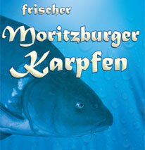 Ein blau getöntes Bild eines Fisches unter Wasser mit dem deutschen Text "Frischer Moritzburger Karpfen" in fetter, dekorativer Schrift. Im Hintergrund sind Blasen zu sehen, die an den traditionellen Karpfen Blau und sein klassisches Rezept erinnern.
