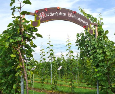 Spazieren, Raten und Knobeln im märchenhaften Weinlabyrinth