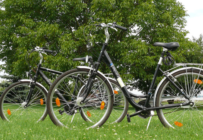 Fahrradverleih in Sörnewitz bei Meißen