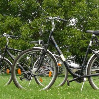 Zwei schwarze Fahrräder sind auf grünem Gras vor einem großen, belaubten Baum in der Nähe eines familiengeführten Hotels abgestellt, ohne dass Menschen zu sehen sind. Der Himmel ist teilweise bewölkt, und die Szene spielt sich im Freien in einer parkähnlichen Umgebung ab.