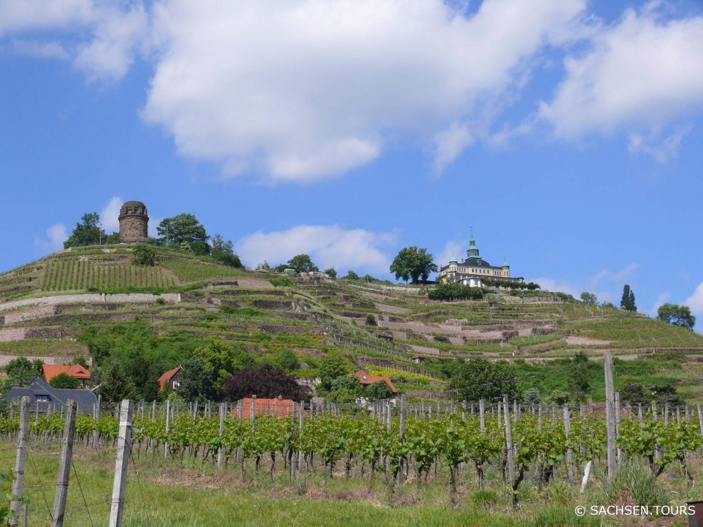 Spitzhaus in Radebeul